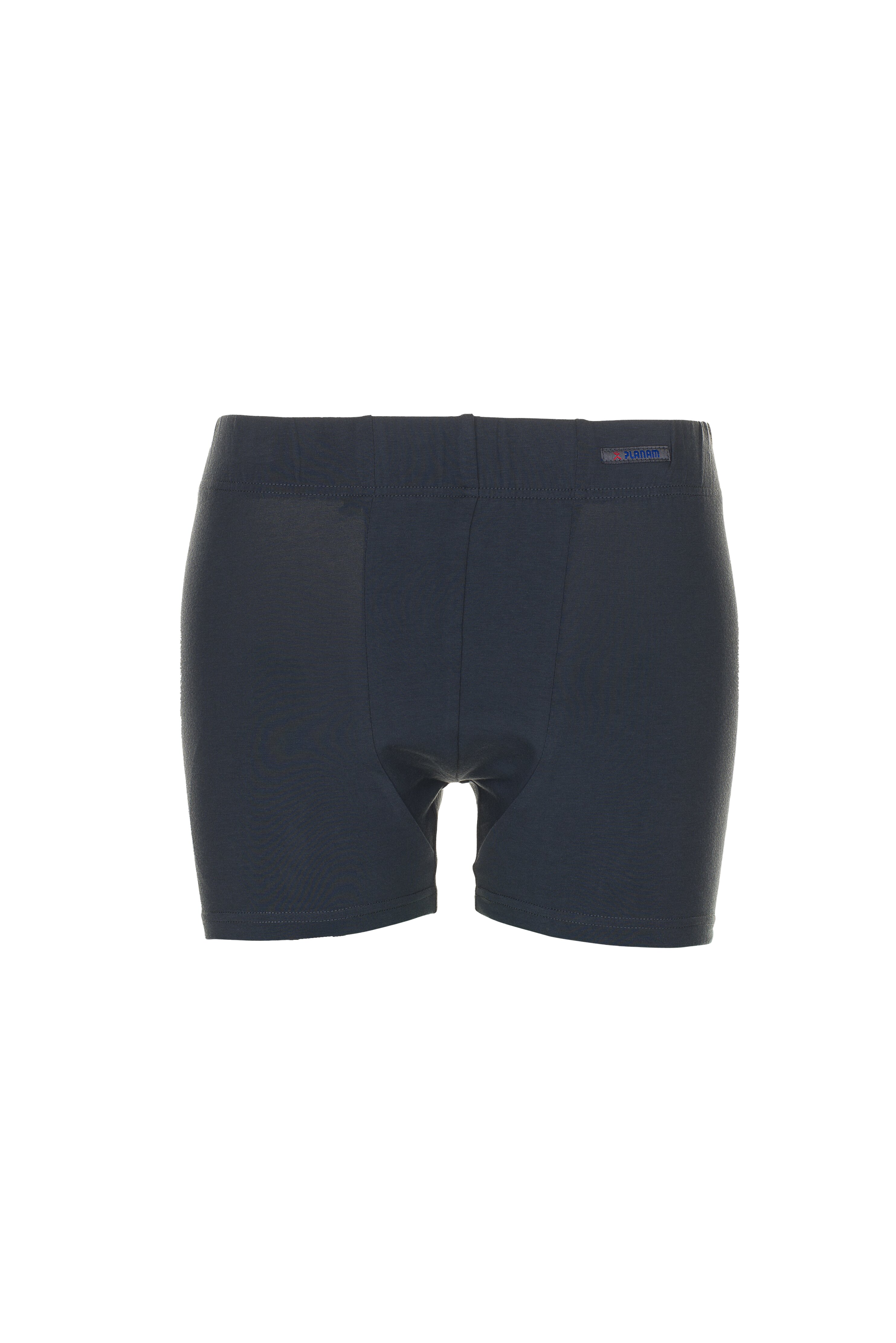 PLANAM Funktionsunterwäsche Shorts 190 g/m² grau (2221) grau XL