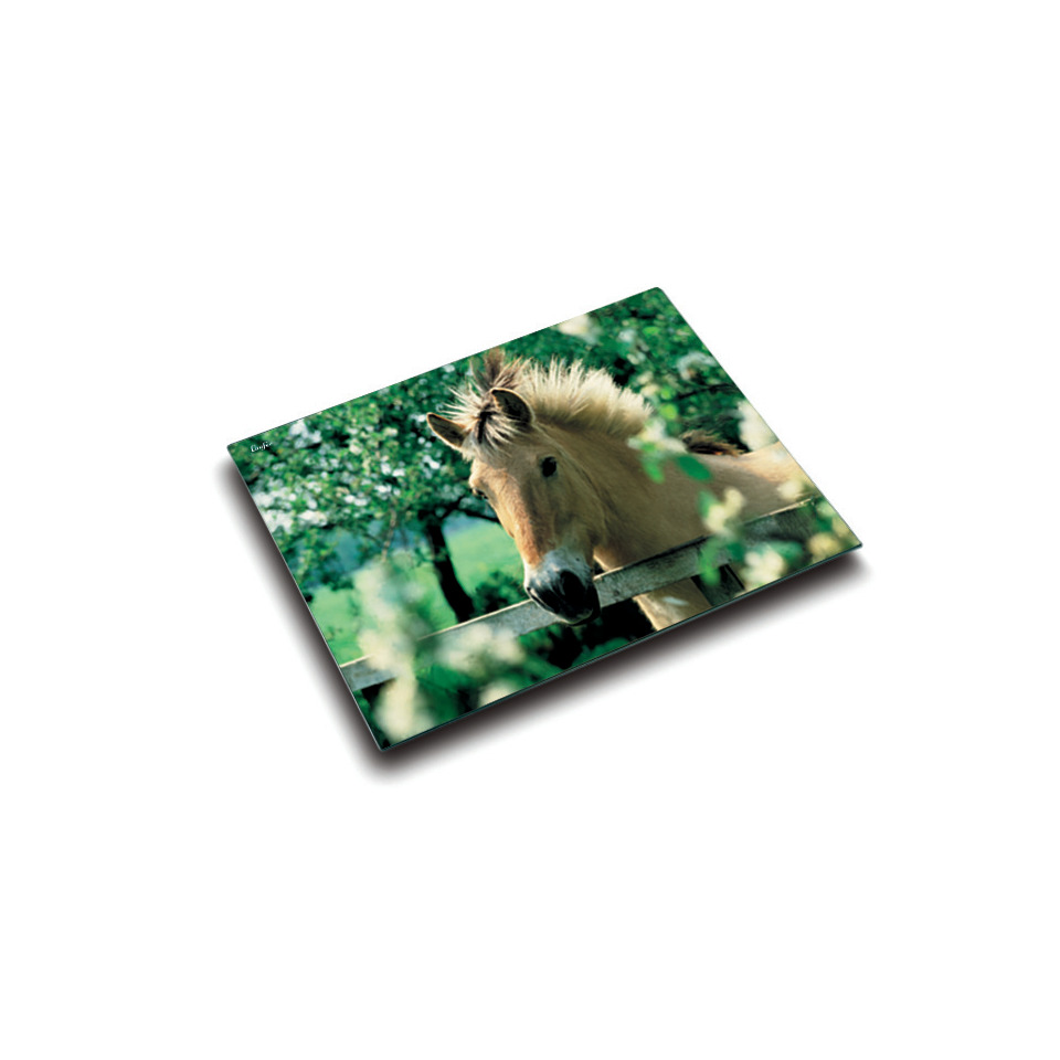 Schreibunterlage Motiv Pferd