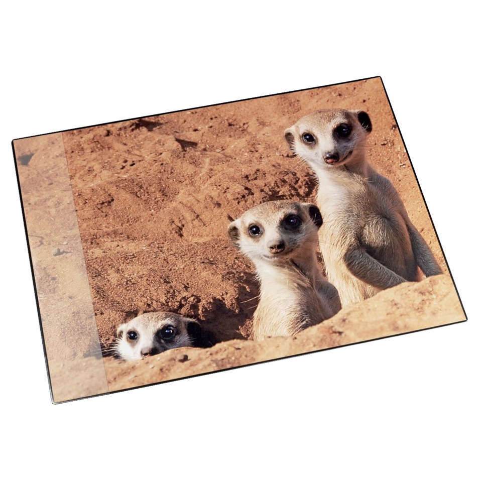 Schreibunterlage Motiv Erdmännchen