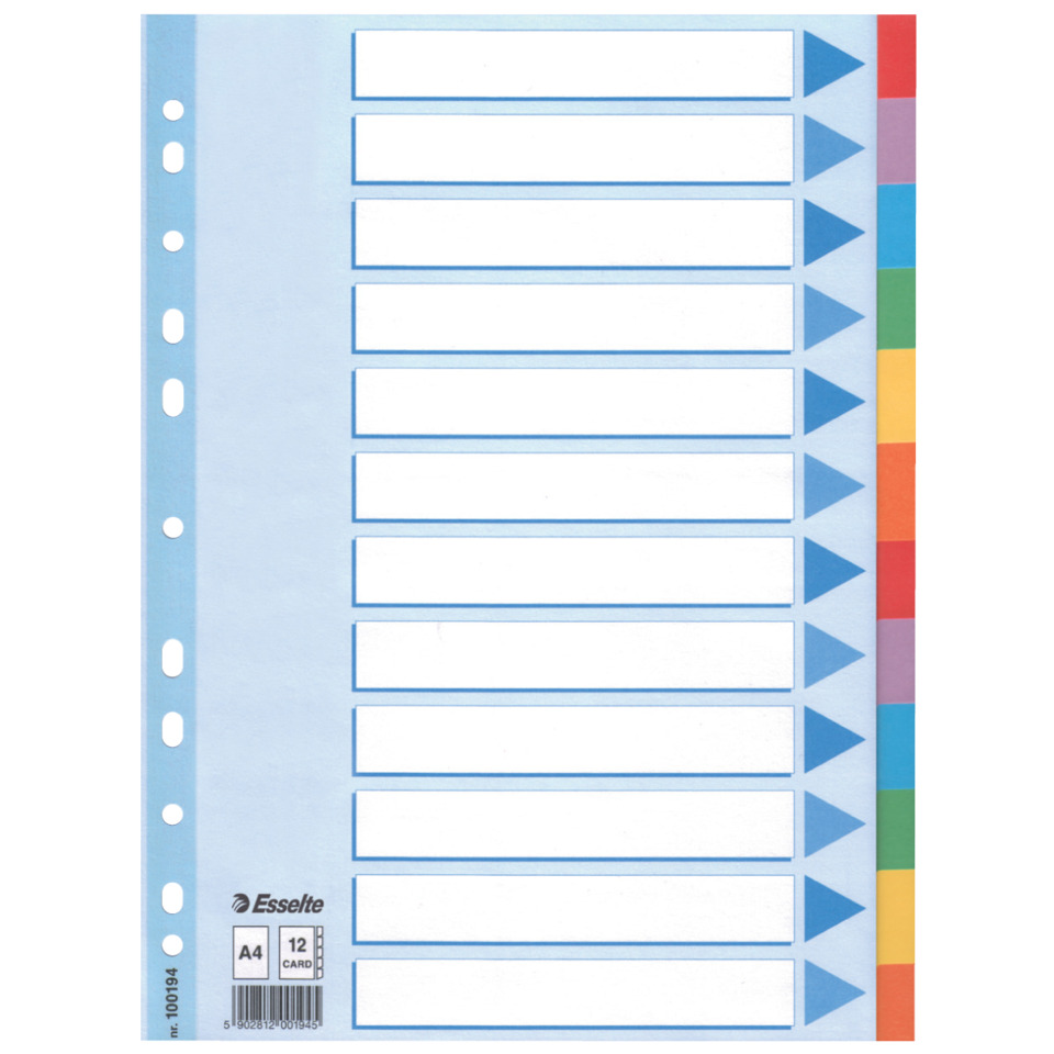 Register - blanko, Karton, A4, 12 Blatt, weiß, farbige Taben