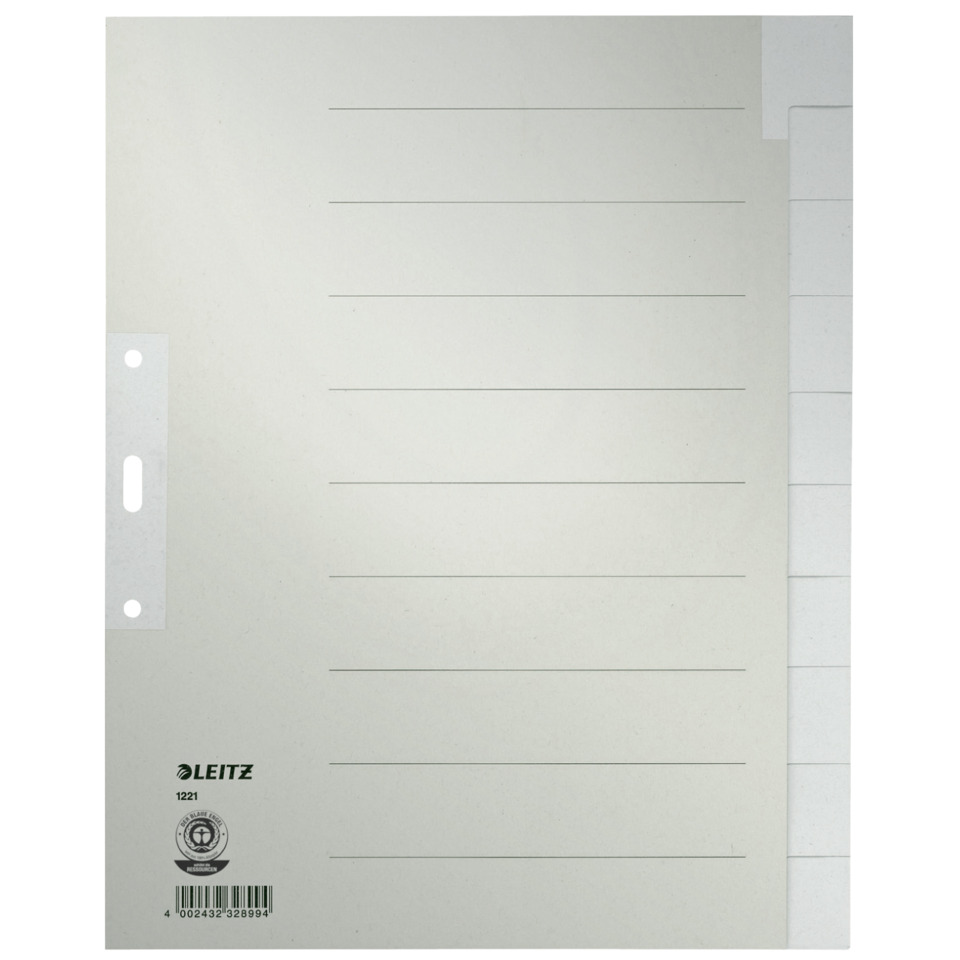 1221 Register - Tauenpapier, blanko, A4 Überbreite, 10 Blatt, grau