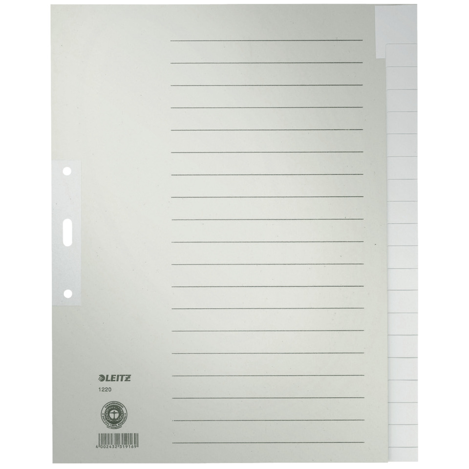 1220 Register - Tauenpapier, A4 Überbreite, 20 Blatt, grau