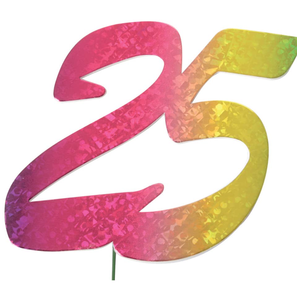 Jubiläumszahl 25 bunt