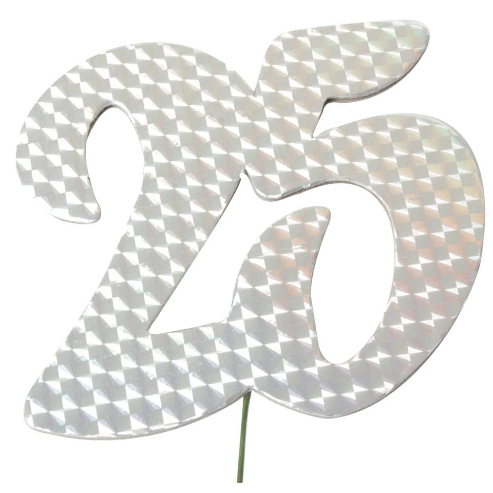 Jubiläumszahl 25 silber