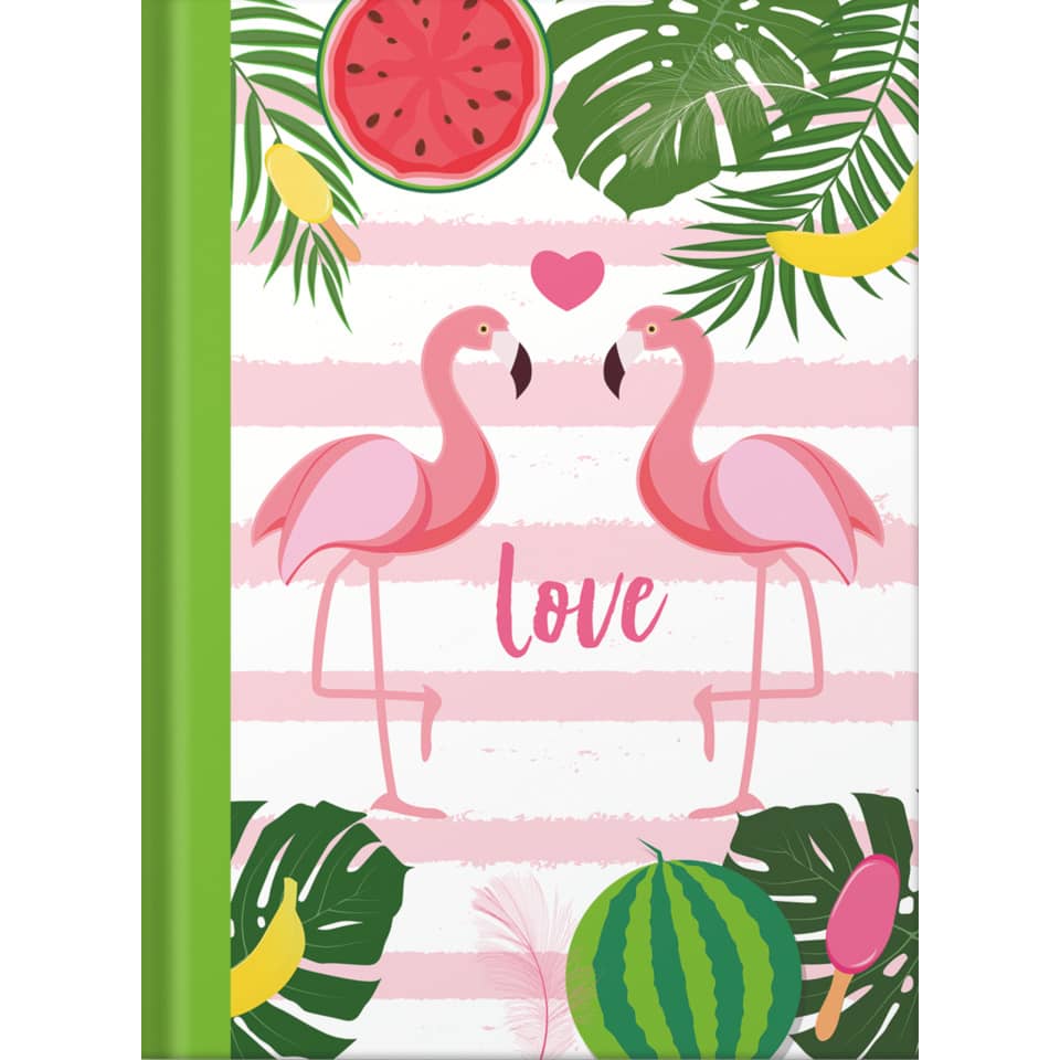 Notizbuch Flamingo grün - A5, Pünktchenlineatur, 96 Blatt