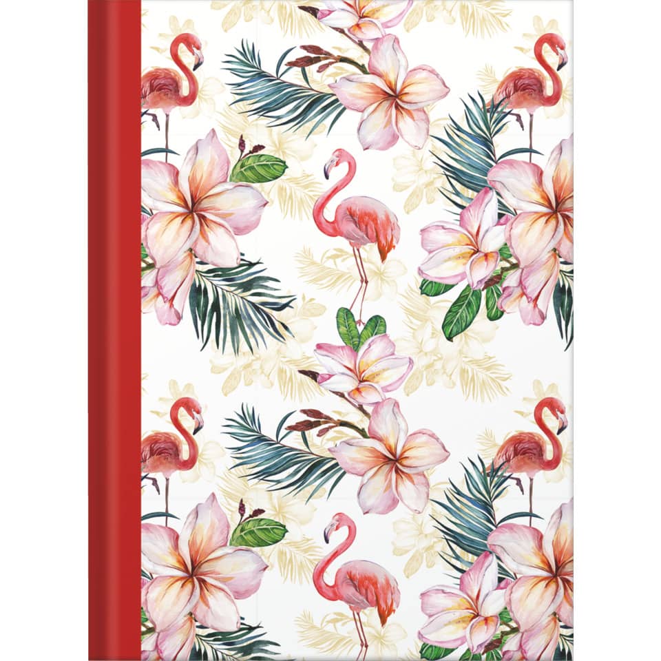 Notizbuch Flamingo rot - A5, Pünktchenlineatur, 96 Blatt