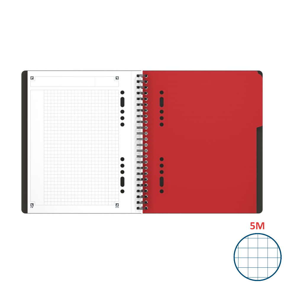 International A5+ Activebook, kariert