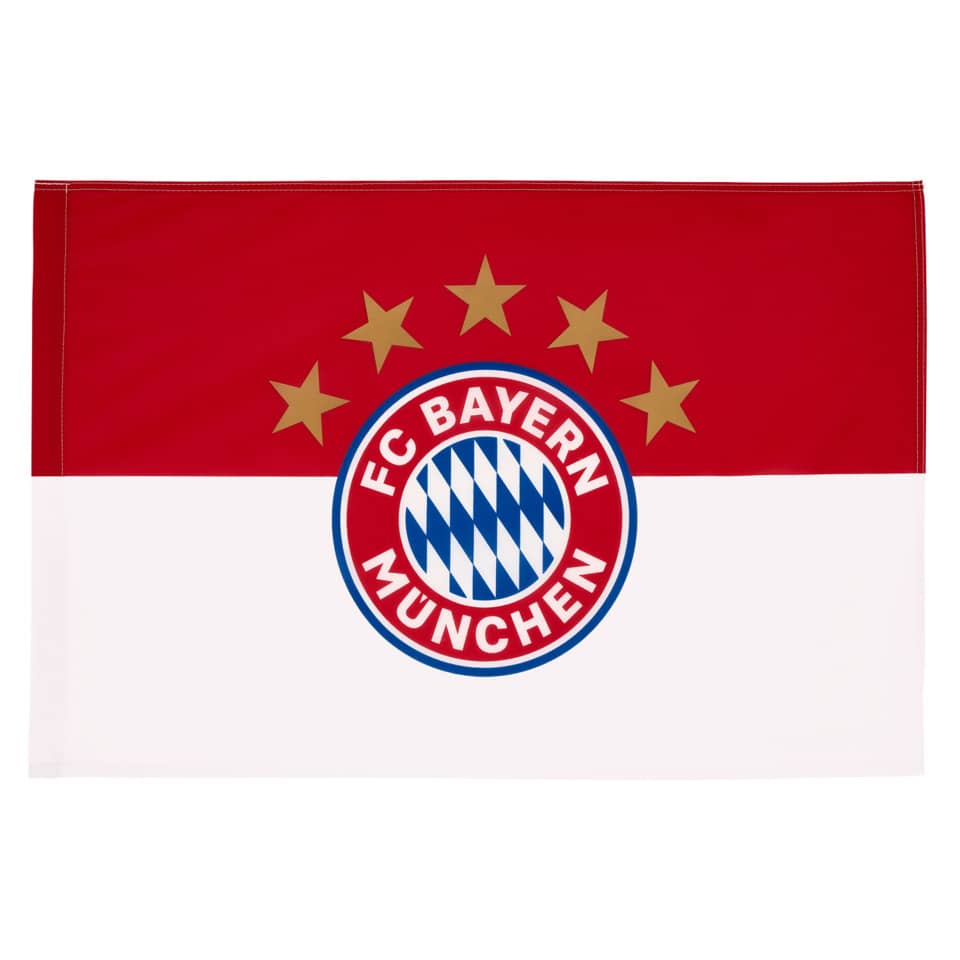 Fahne Logo, 90x60cm, rot/weiss