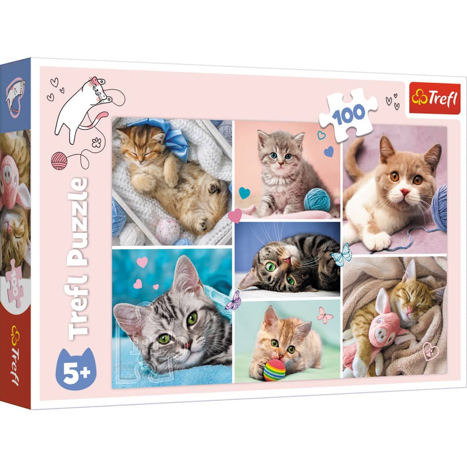 Puzzle Katzenwelt - 100 Teile
