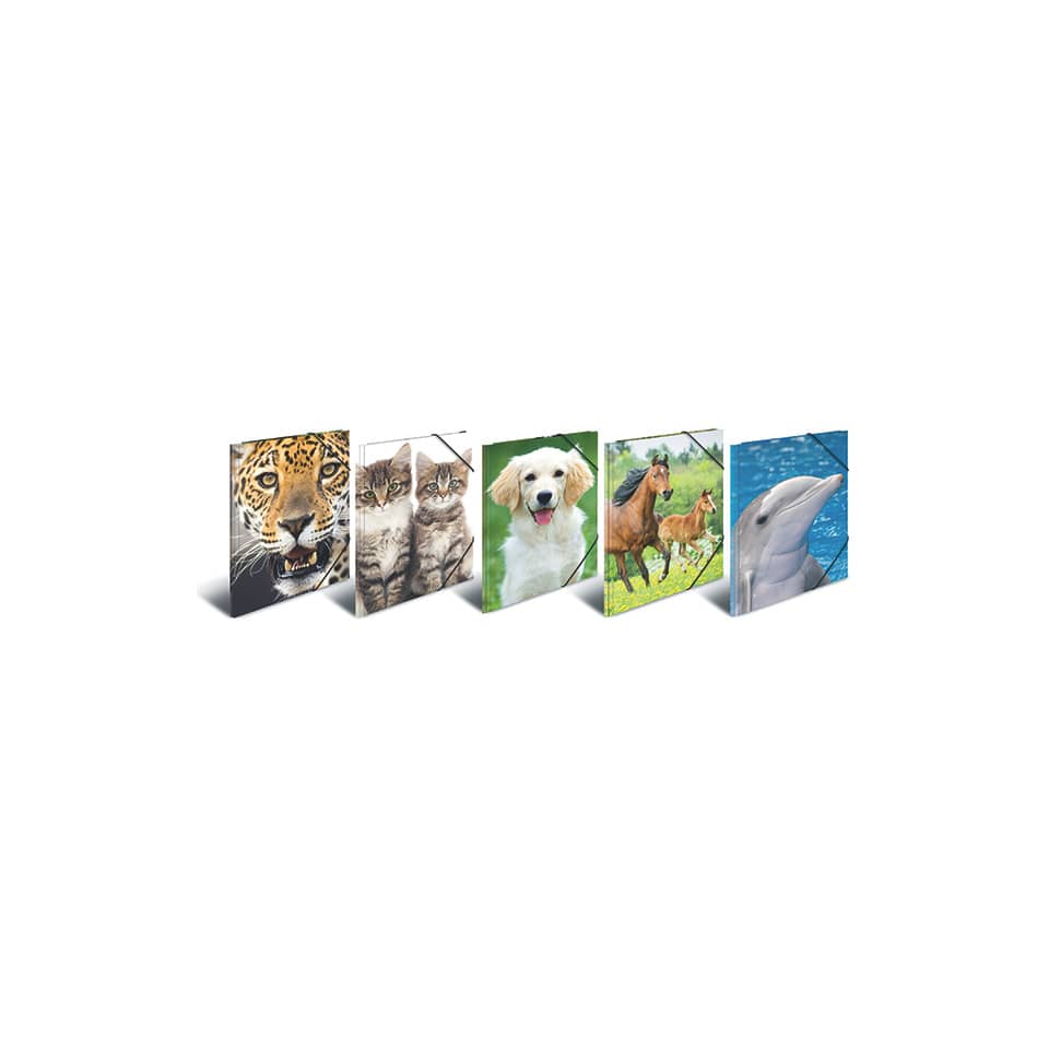 7147 Sammelmappe Tiere - A4, PP, mit Gummizug, sortiert