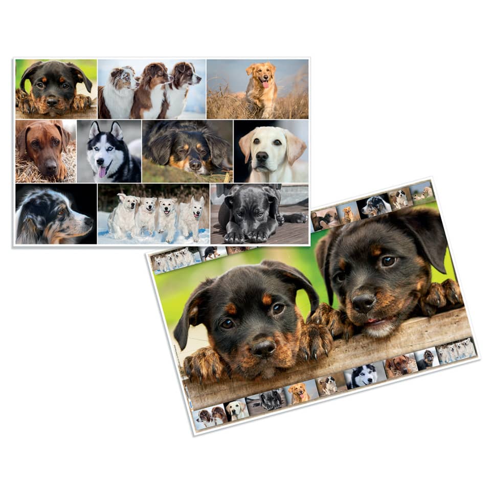 Schreibunterlage Hunde - 55 x 35 cm