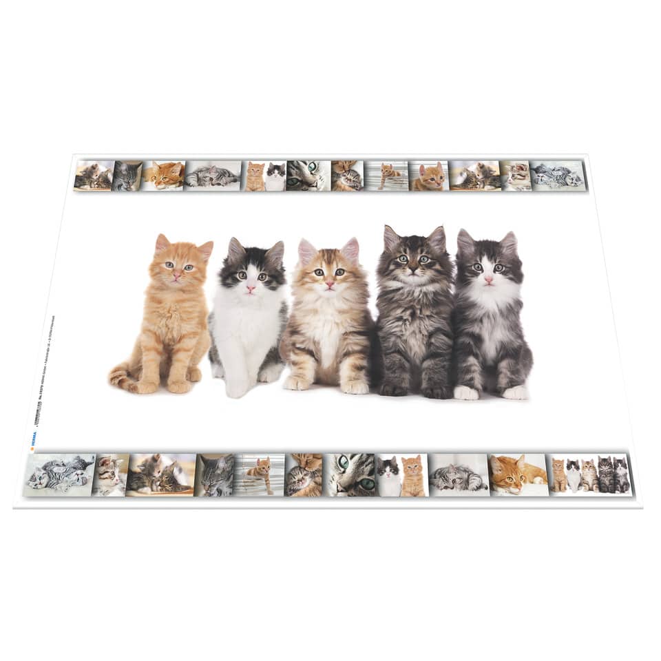 Schreibunterlage Katzen - 55 x 35 cm