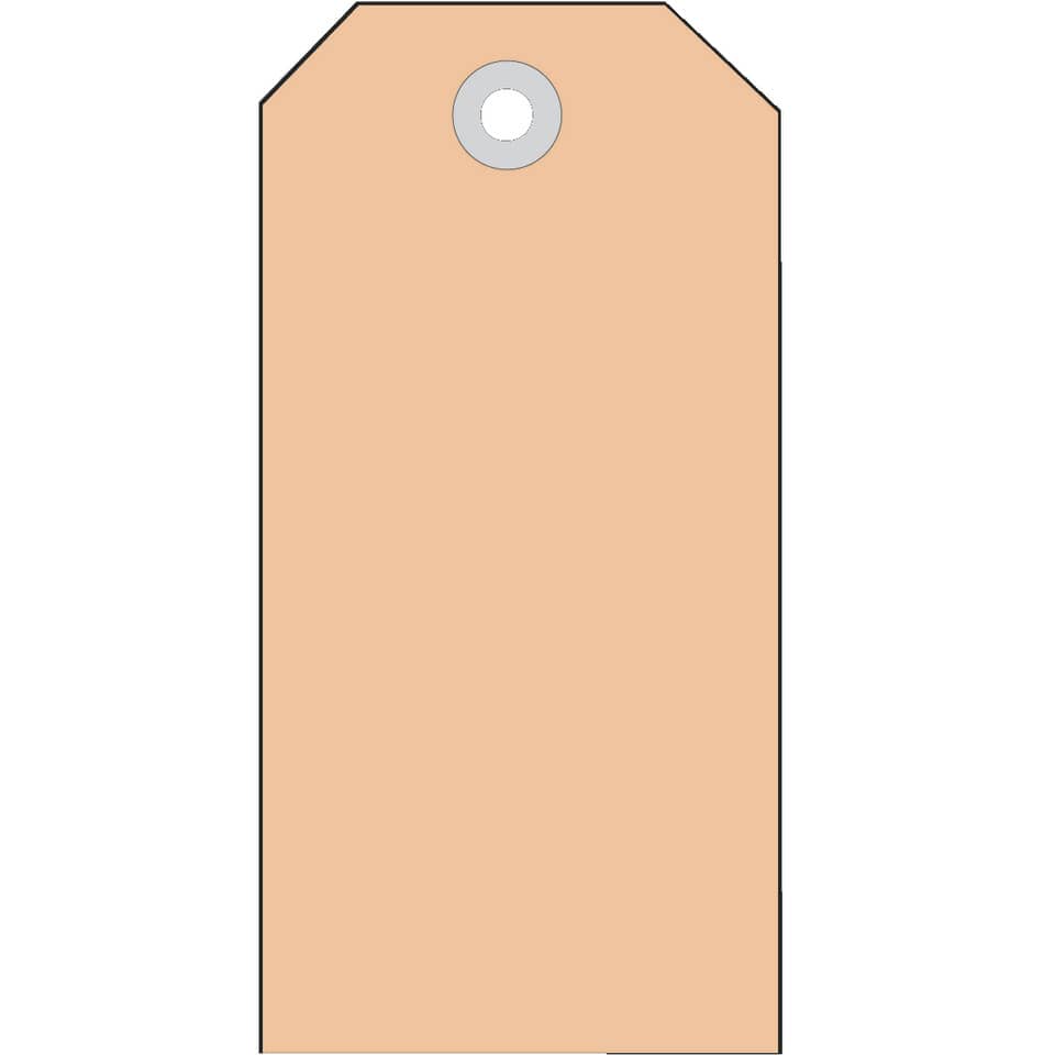 6014 Anhängezettel 45x90 mm mit Kunststofföse 1000 St.