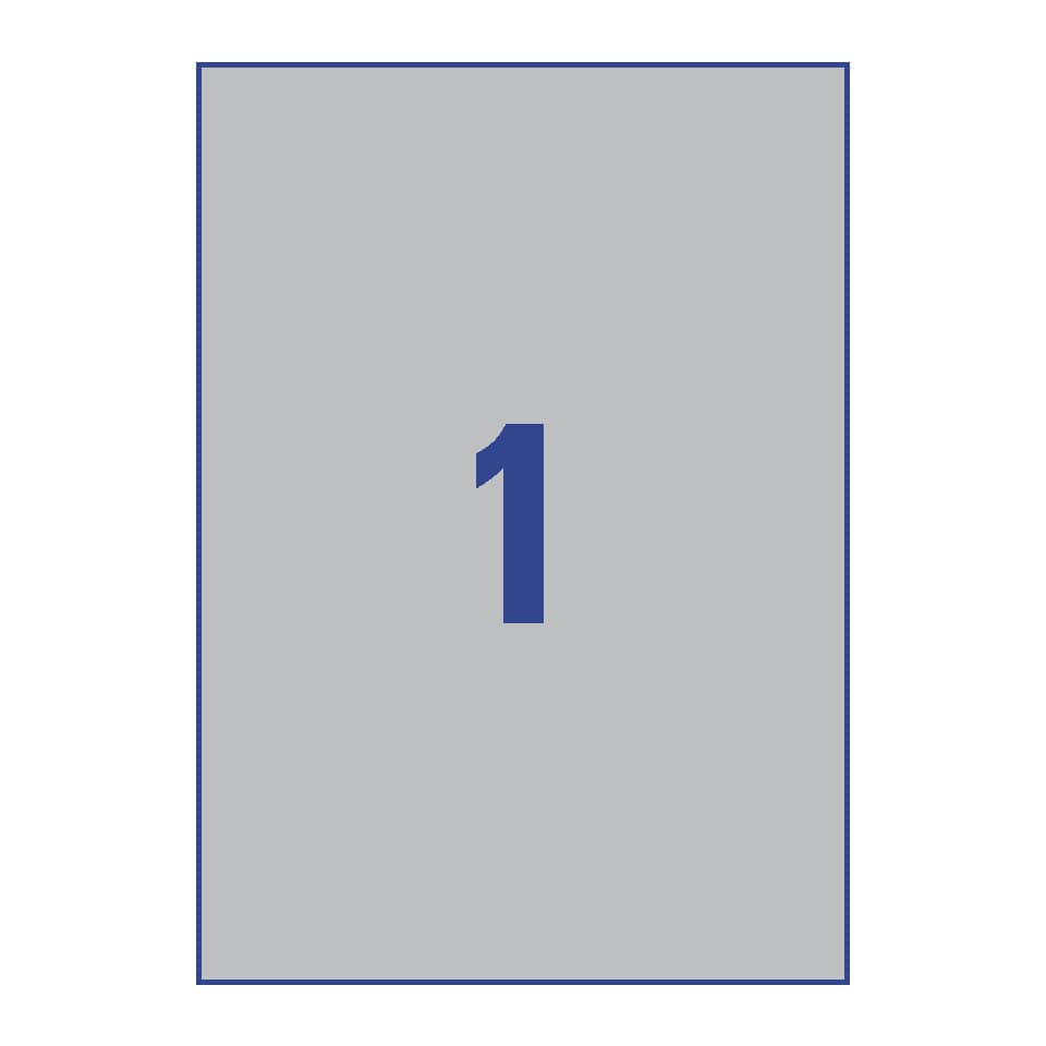 L6013-20 Typenschild-Etiketten - A4, 20 Stück, 210 x 297 mm, wetterfest, 20 Blatt silber