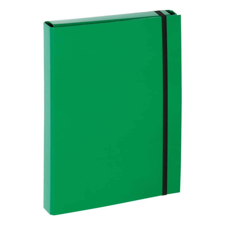 Sammelbox Basic - A4, Gummizug, Karton, grün