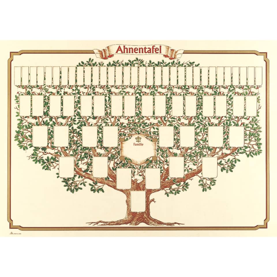 Schmuck-Ahnentafel "Skizzierter Baum" 6 Generationen, (BxH): 70x50 cm, 190g/qm