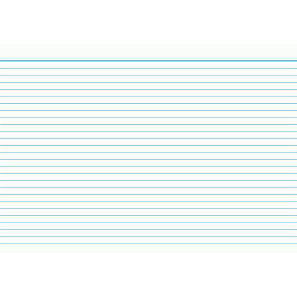 Karteikarten - DIN A8, liniert, weiß, 100 Karten