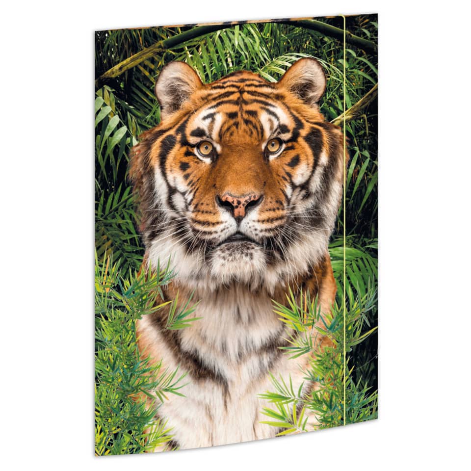 Gummizugmappe - A3, Tiger
