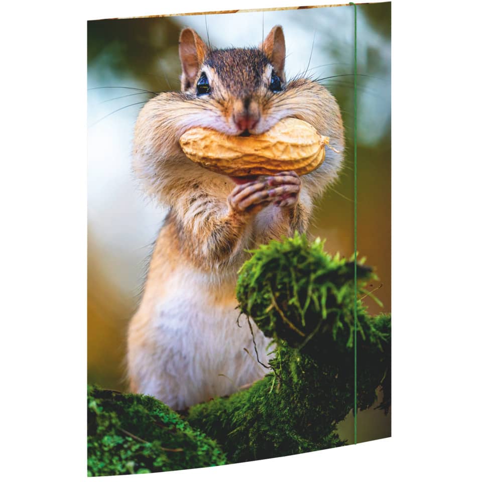 Gummizugmappe - A3, Chipmunk