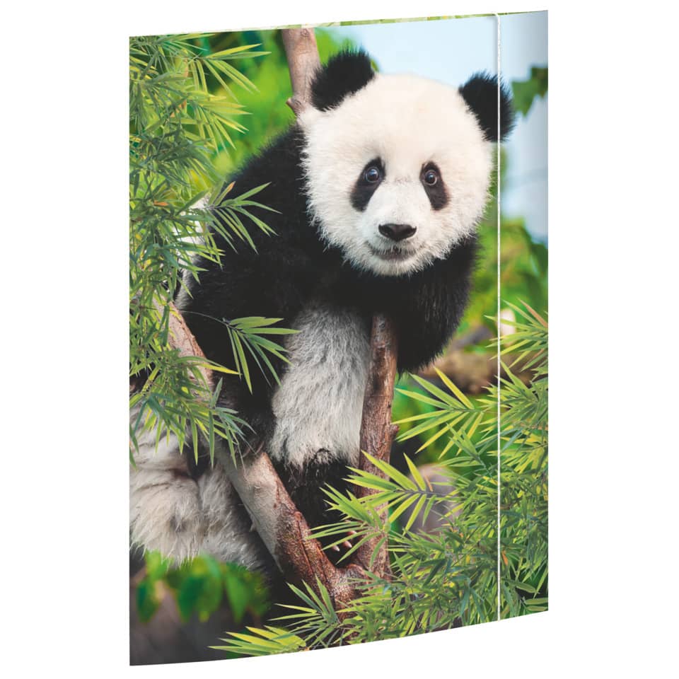 Gummizugmappe - A3, Panda