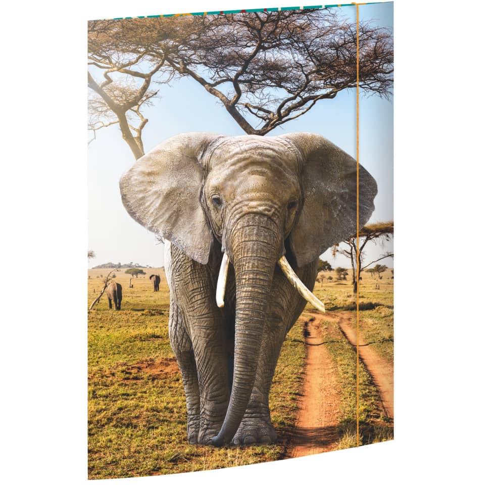 Gummizugmappe - A3, Elefant