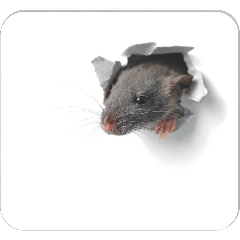 Mousepad Design 2 - 30 Blatt, 220 x 240 mm, Papierblock
