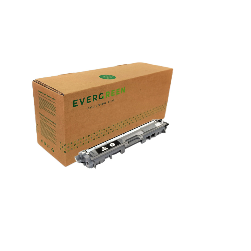 Alternativ Evergreen Toner-Kit schwarz (EGTBTN241BE)
