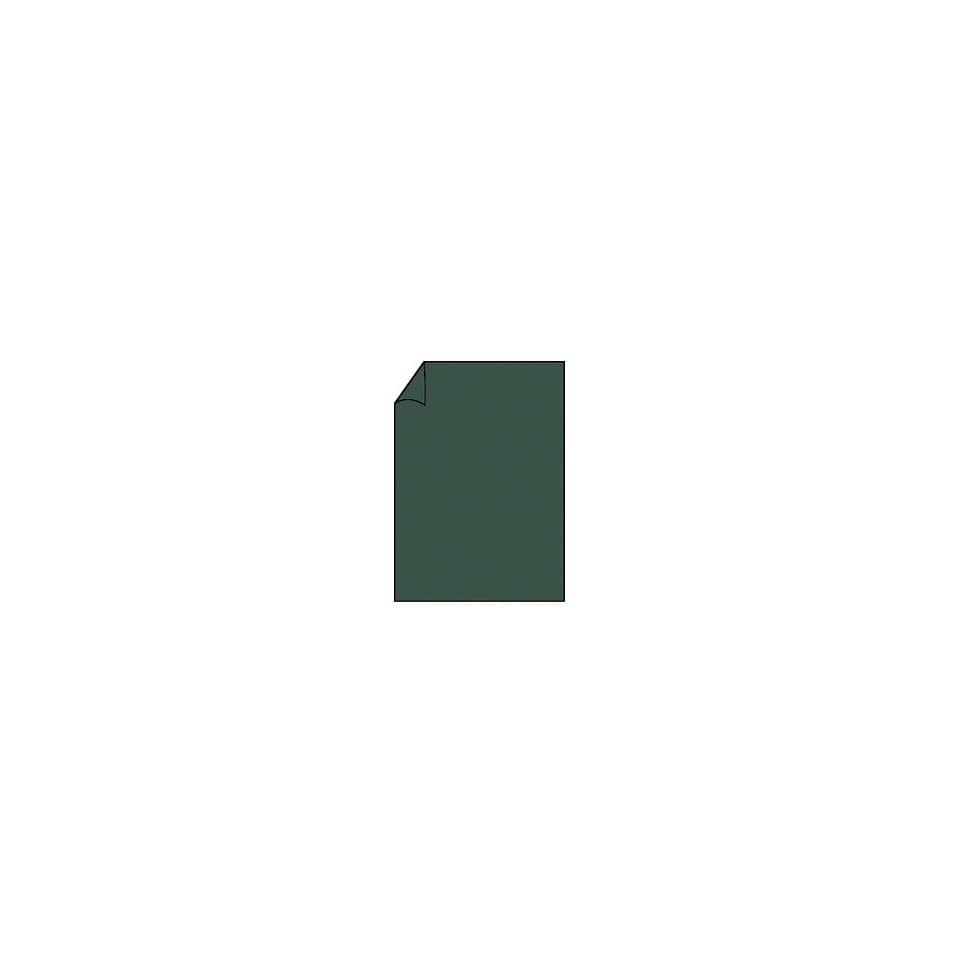 Coloretti Briefbogen - A4, 165g, 10 Blatt, forest
