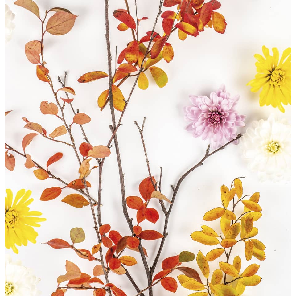 Motivserviette, Herbstzweig, 25 x 25 cm, 3-lagig, 20 Stück