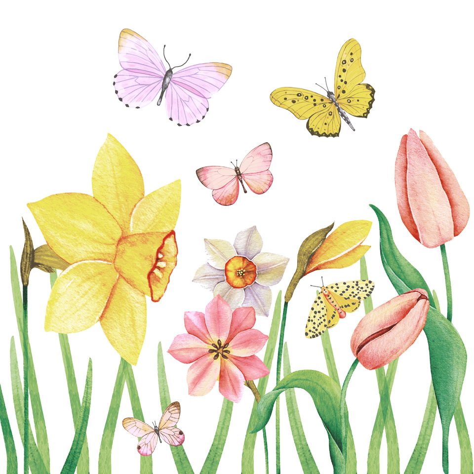 Motivserviette, Schmetterlingswiese, 33 x 33 cm, 3-lagig, 20 Stück