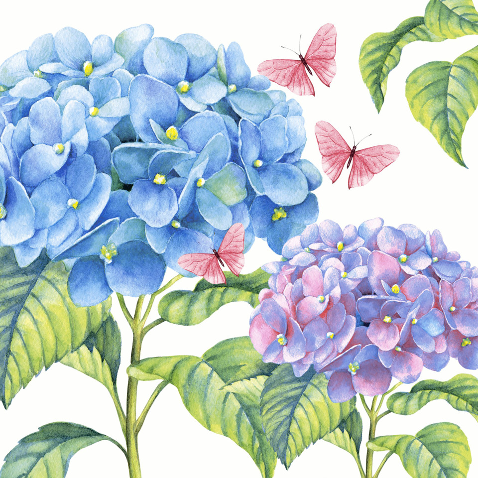 Motivserviette, Blumen und Schmetterling, 33 x 33 cm, 3-lagig, 20 Stück