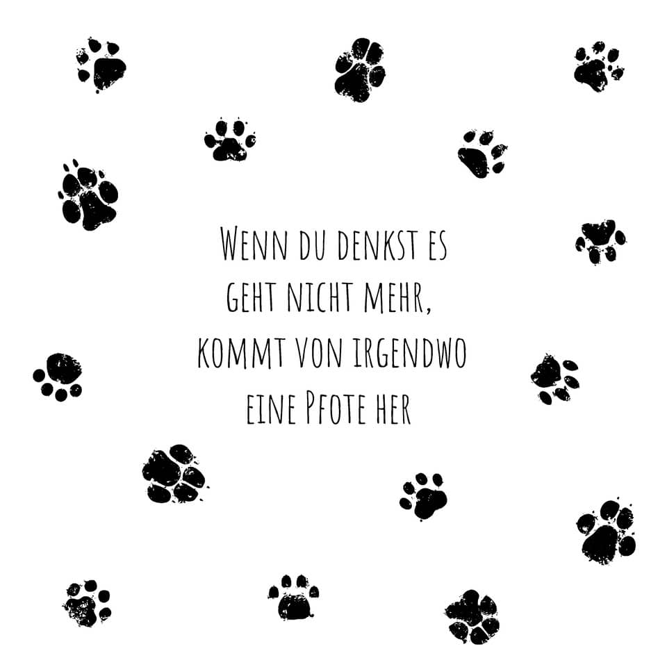 Motivserviette, Hundepfoten, 33 x 33 cm, 3-lagig, 20 Stück