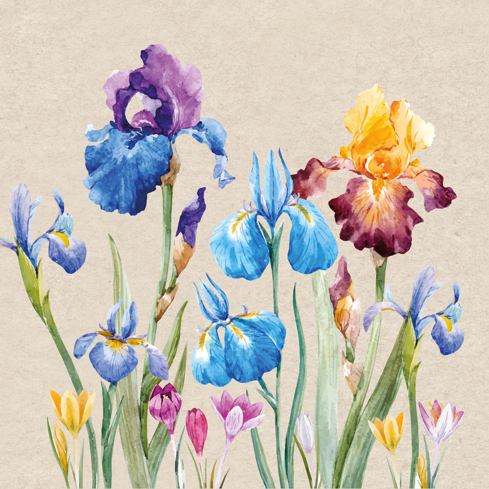 Motivserviette, Iris - 100% Recycling, 33 x 33 cm, 2-lagig, 20 Stück